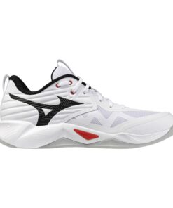 Indoorschuh Mizuno Wave Momentum Pro